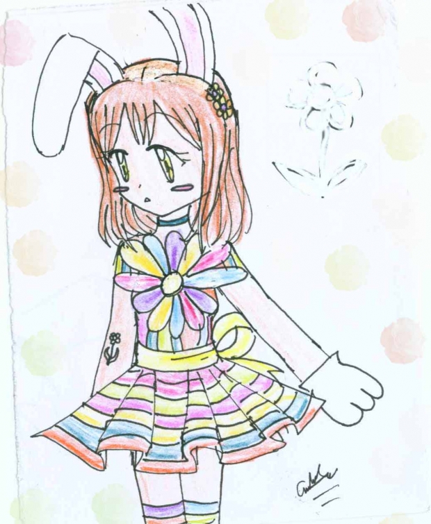 Little Colourful Bunny