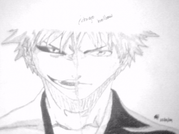 ichigo hollow