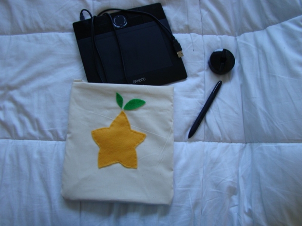 paopu fruit carrying case