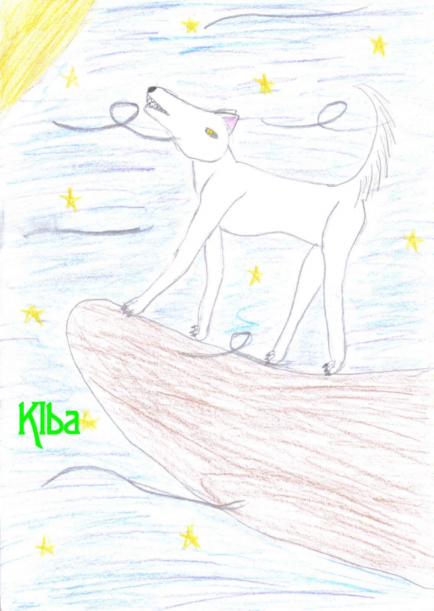 Kiba