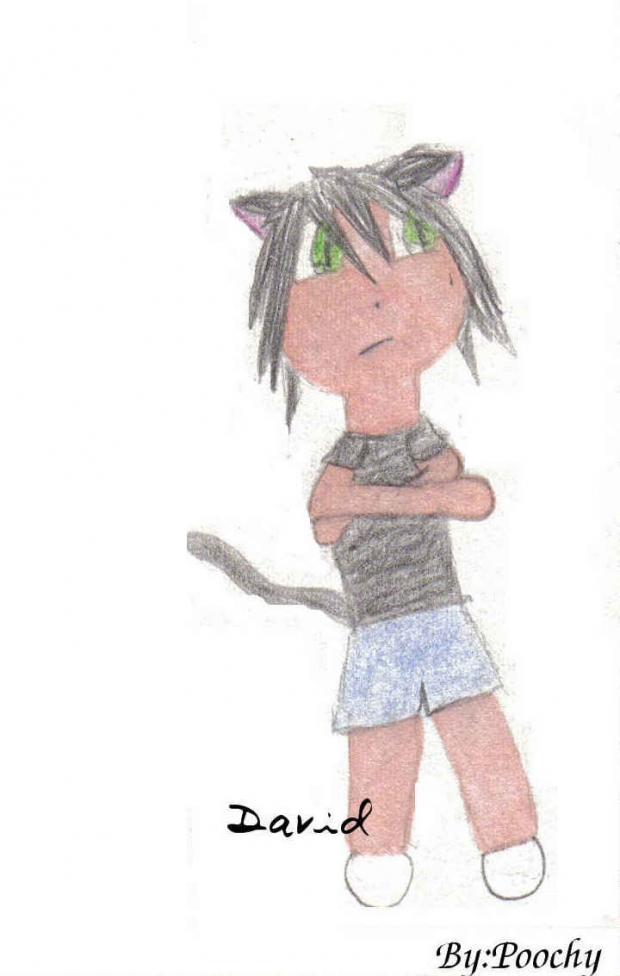 Chibi David