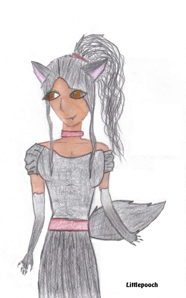 Poochy the Poochyena: Dress