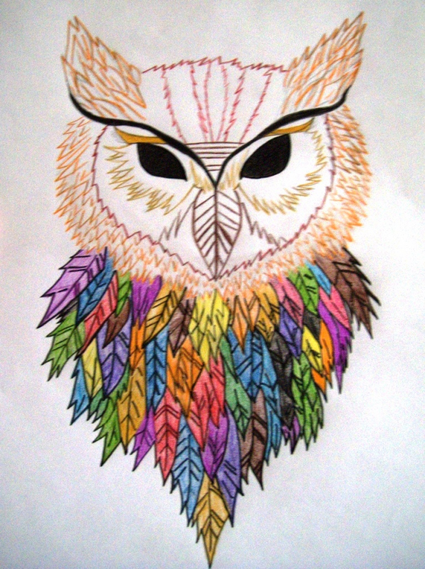 Owl in Colors