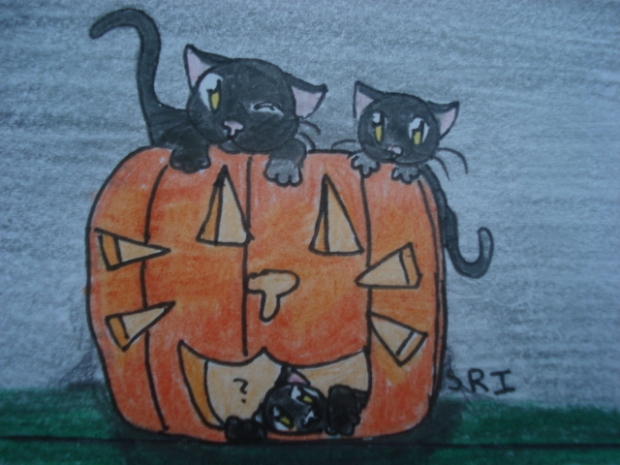 Pumpkin and kittens