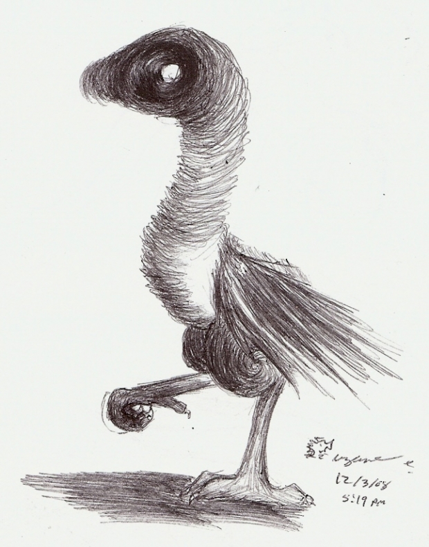 Awkward Bird The Crow