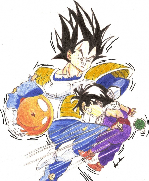 Vegeta the cold hearted warrior