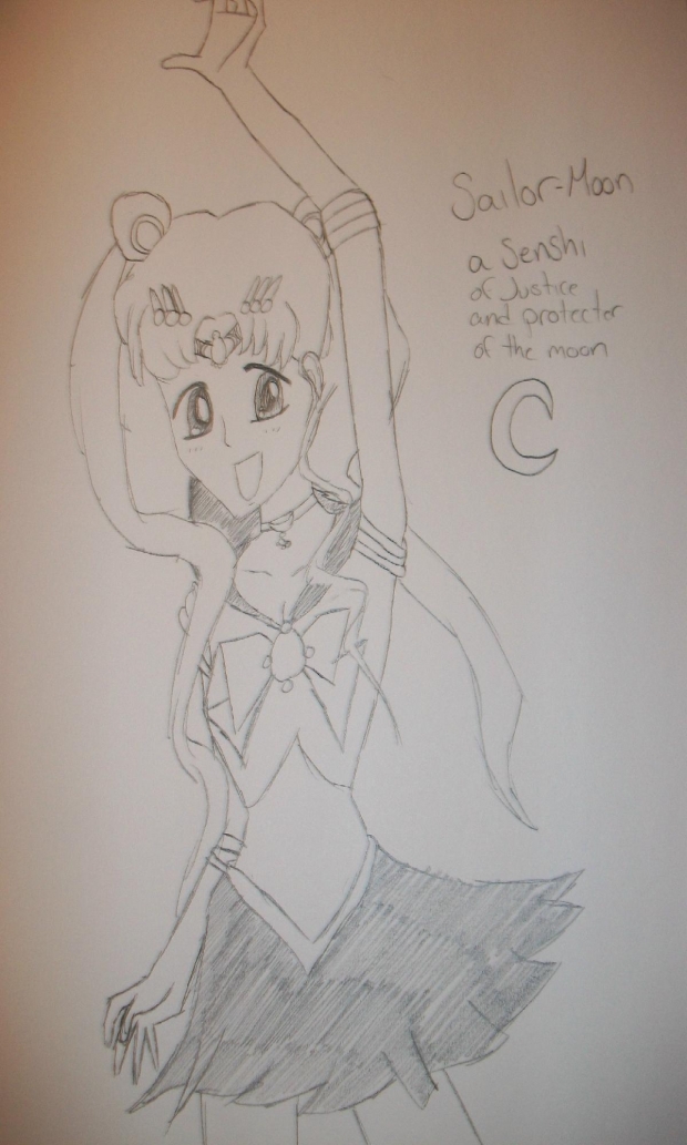 Sailor Moon-The Senshi of Justice!