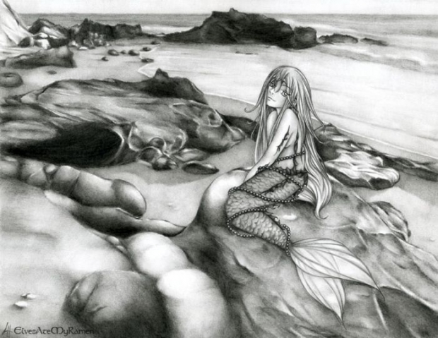 Mermaid Among The Shores