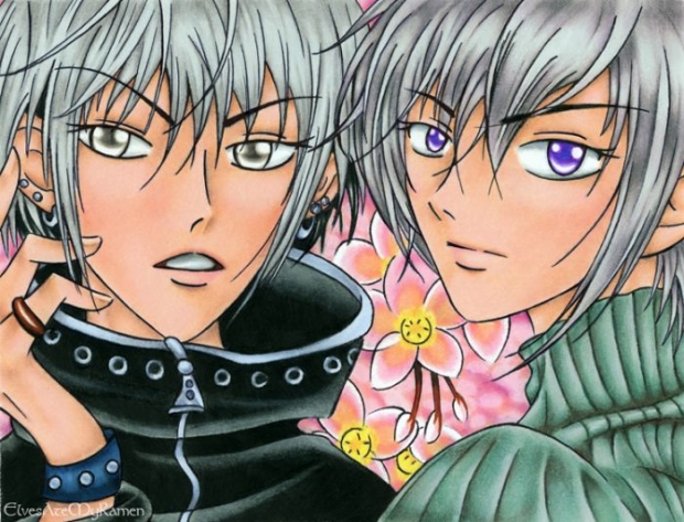 Behold The Rat And Cow