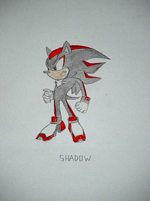 Shadow The Hedgehog