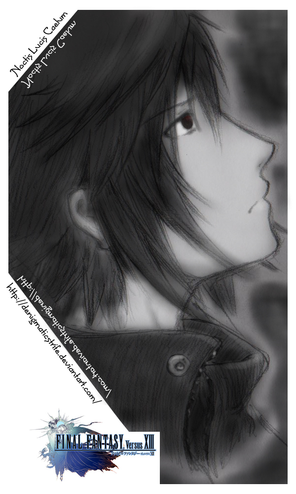 Noctis Lucis Caelum