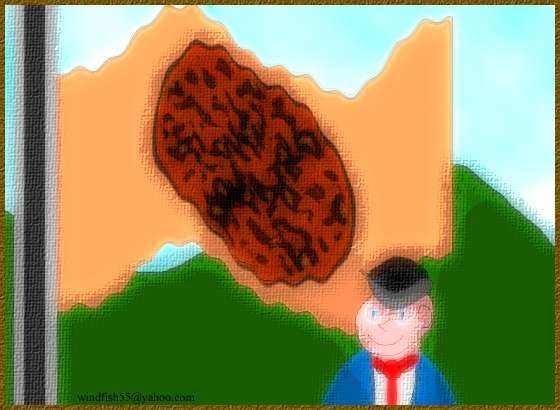 A Portrait Of His Excellency, The President Of Grapefruitopia