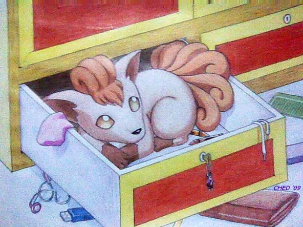 vulpix in my closet