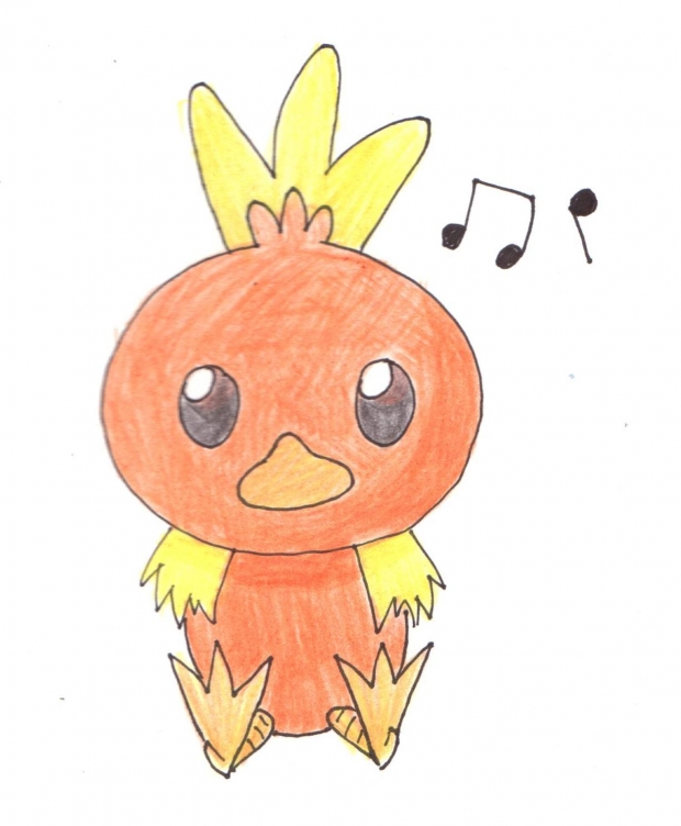 torchic torch!