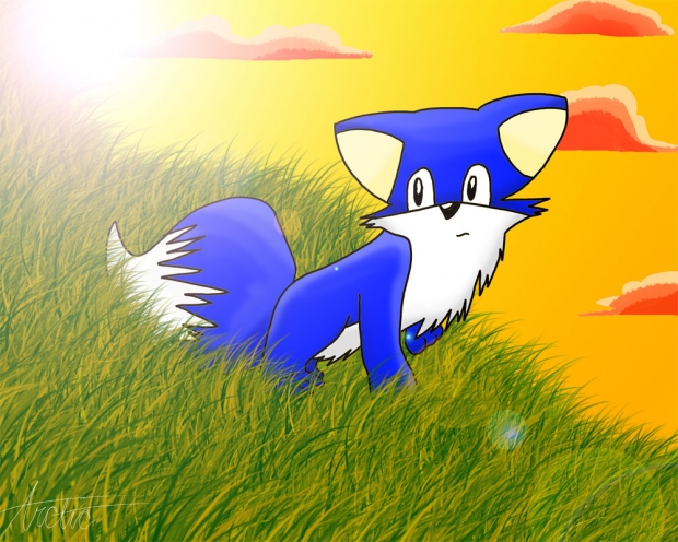 blue fox walking down