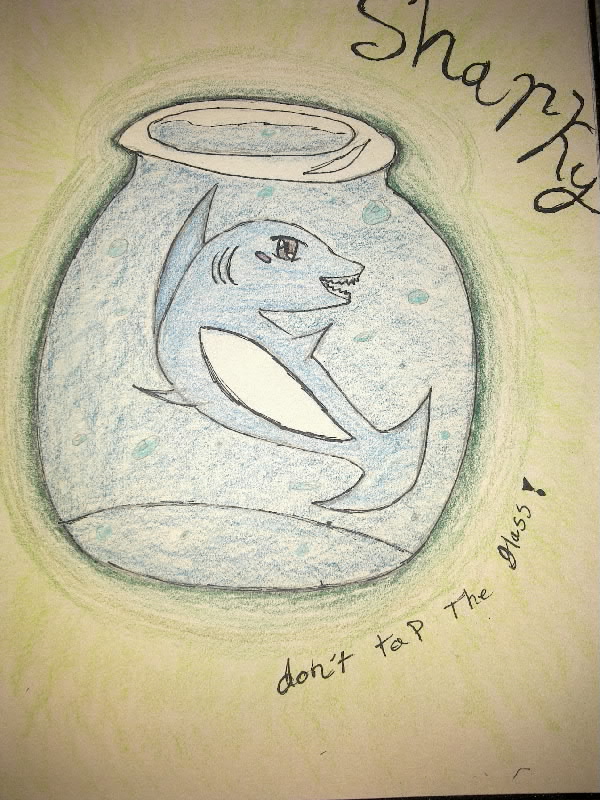Sharky!!