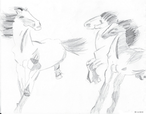 Horses 1