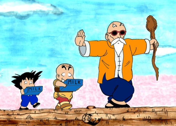 Turtle Hermit Training