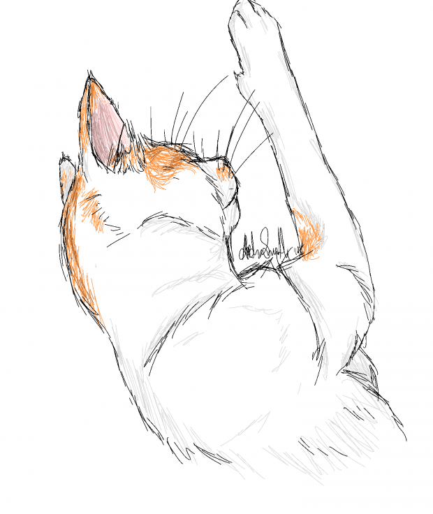 Cat Sketch