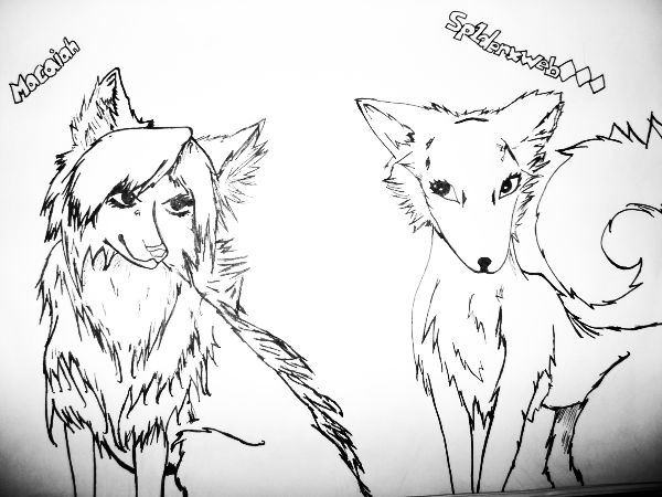Wolf Formed Friends