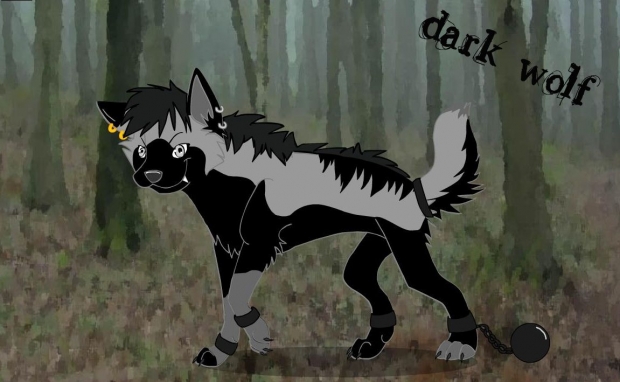 dark wolf