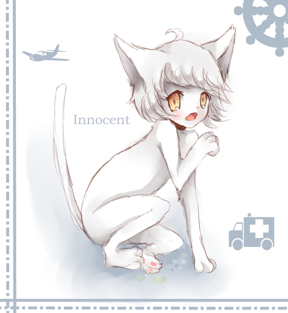 Innocent Kitten