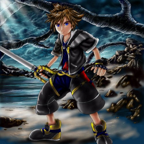 New Sora