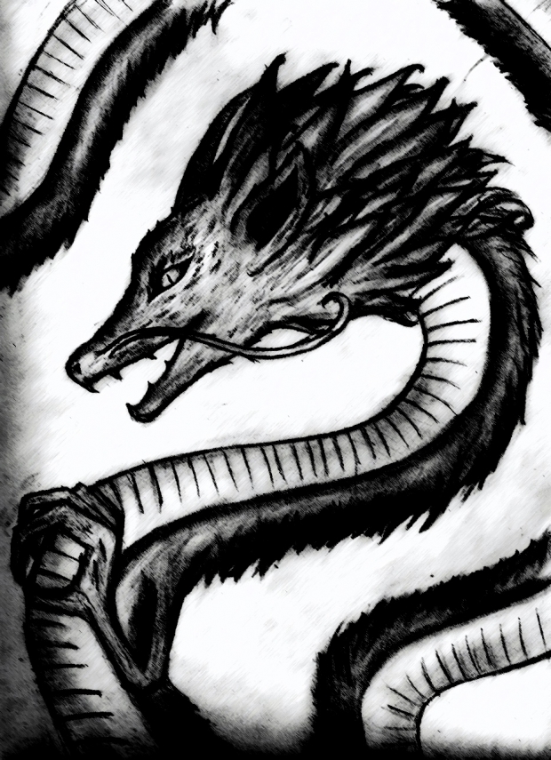 My First Dragon(in a very long time)