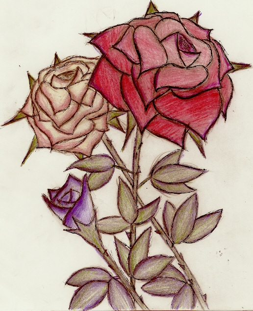 roses