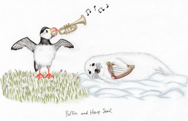 Puffin and Harp Seal