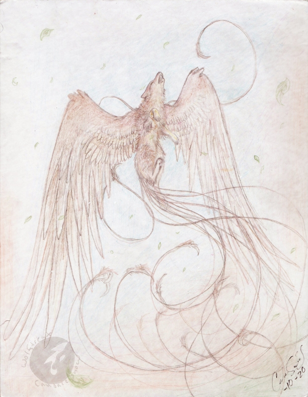 Xowa Fireheart - Flight