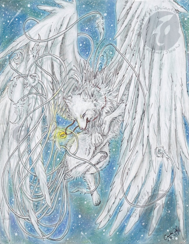 With You in the Night