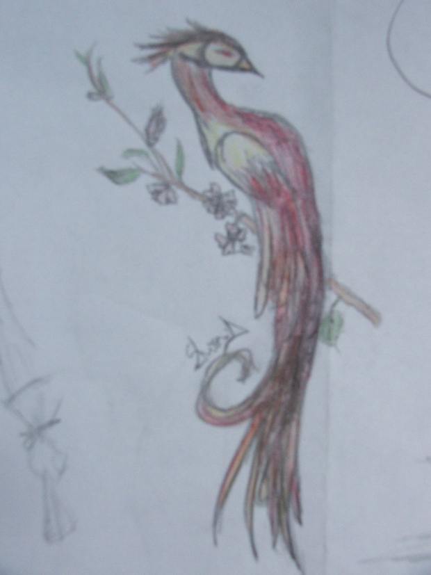 Fantasy bird[finished]