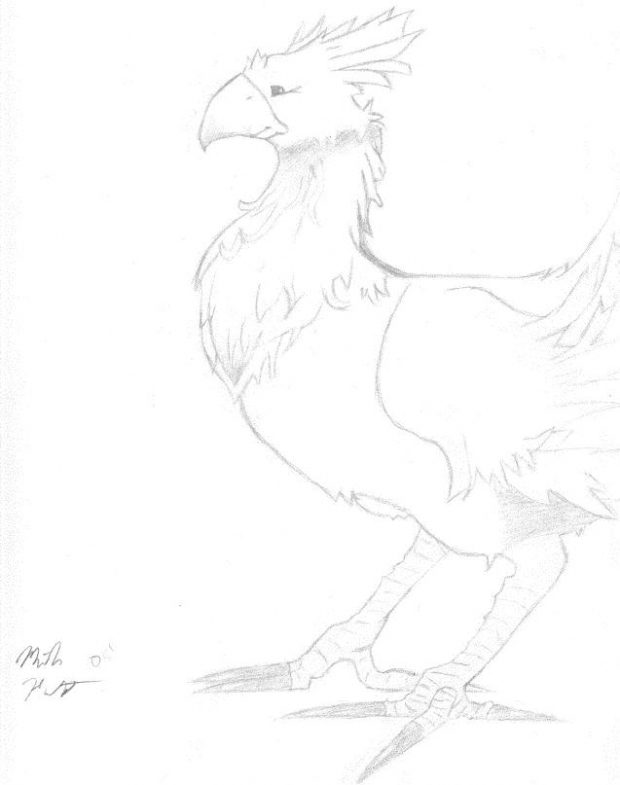 Chocobo V.2.0