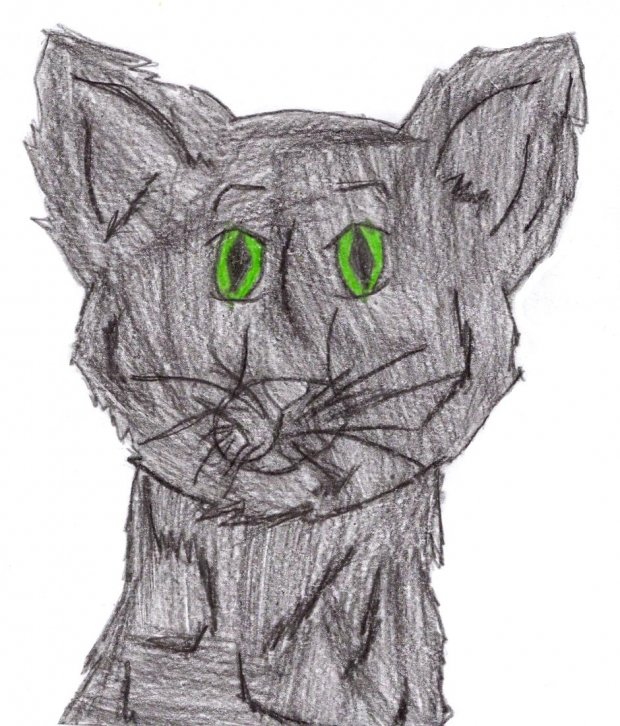 Sally Bones: A Realism/Manga Crossover