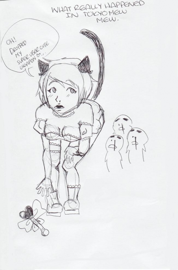 What really happened..