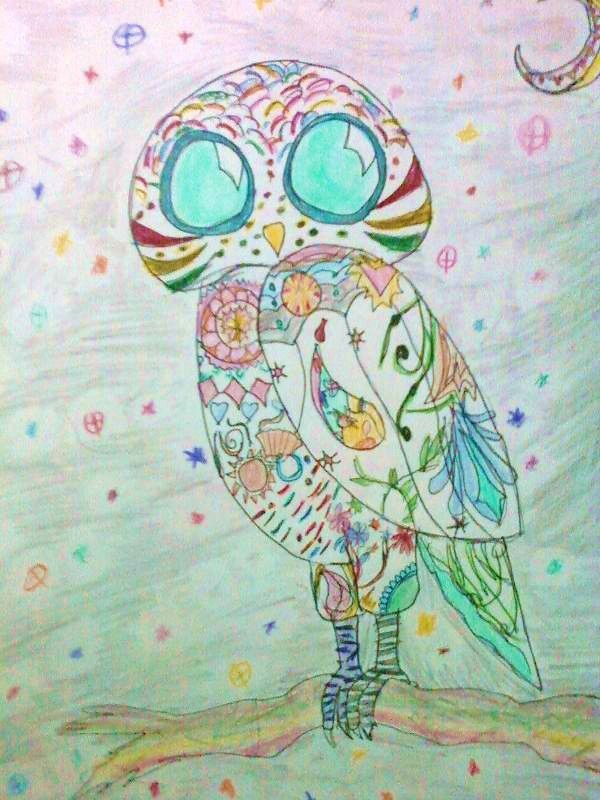 Colored Owl ^^