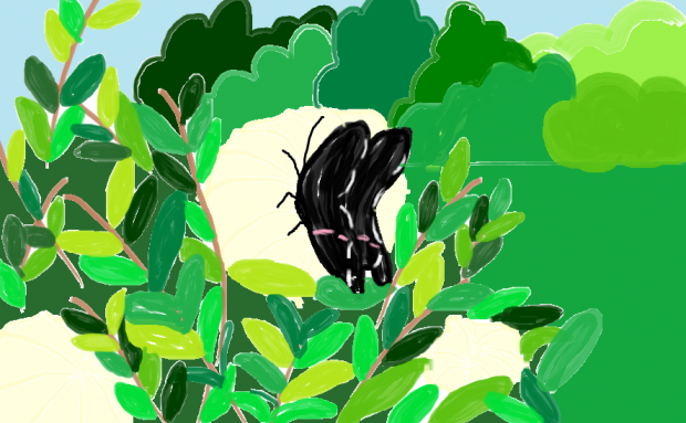 A quiet resting place...