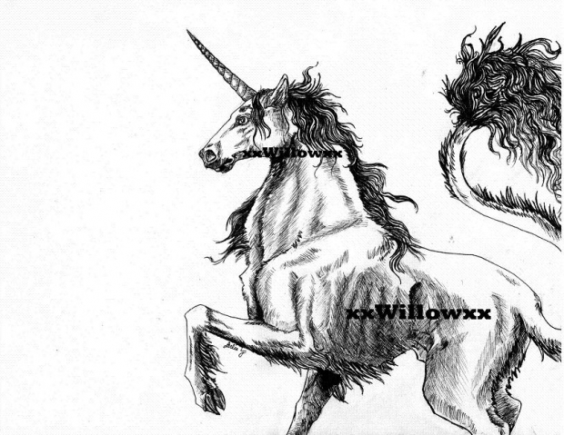 The Magic of a Dream