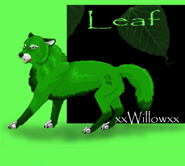 Leafeh wolf