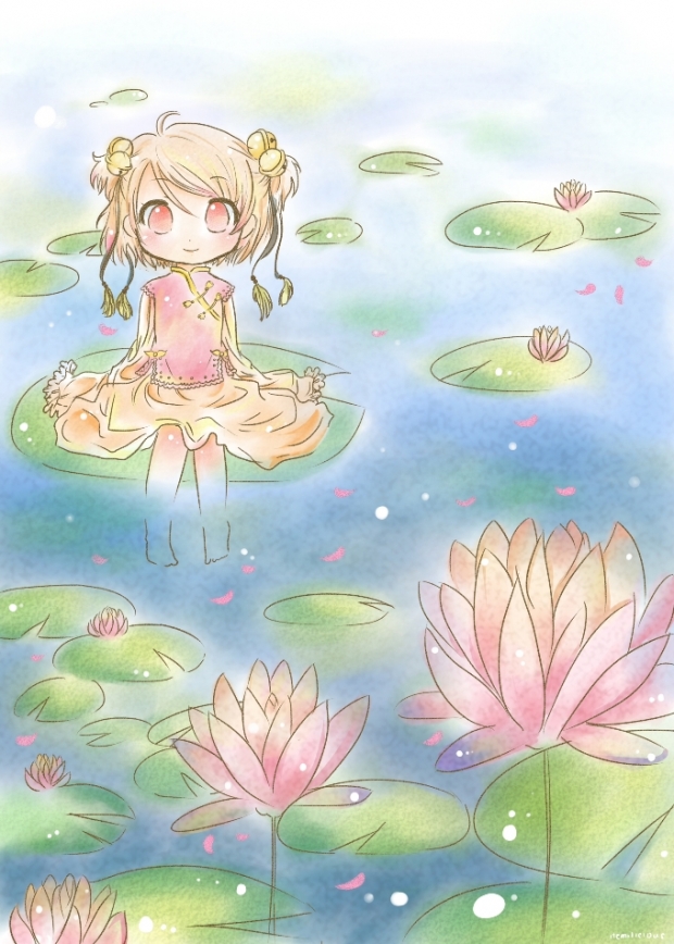 calm lotus