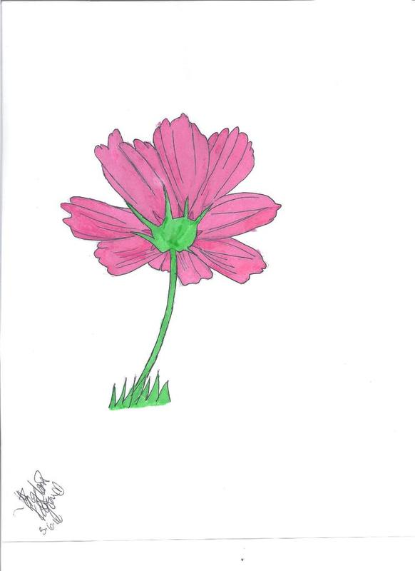 Pink Flower