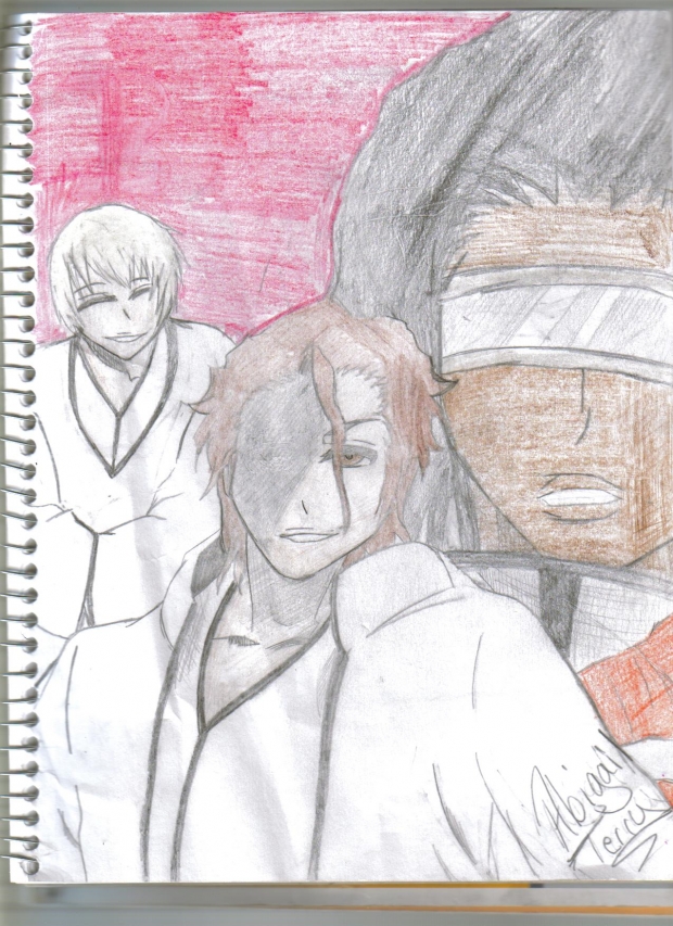 Aizen,Gin,and Tousen