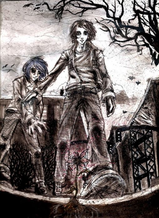 Tmd Contest- Amazement