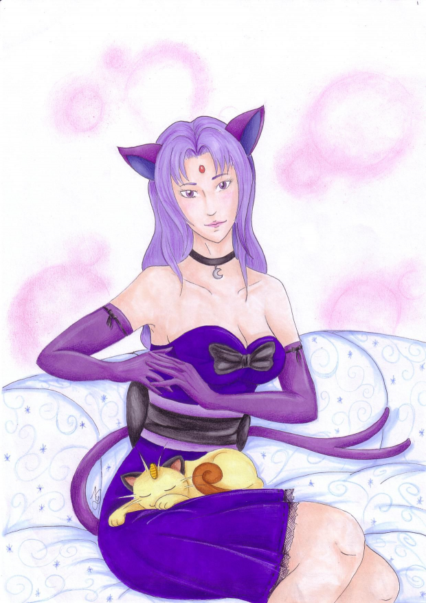 Cats are connoisseurs of comfort