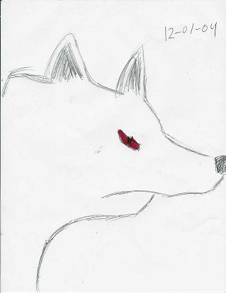 My Wayy Old Kiba Drawing