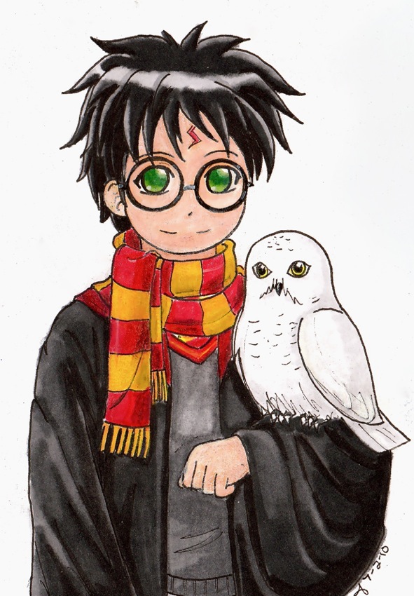 Harry & Hedwig