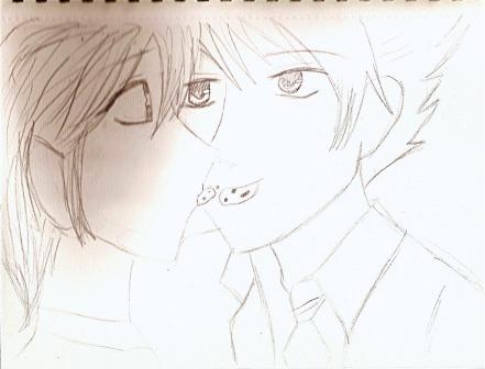 Haruhi And Hikaru Cookie