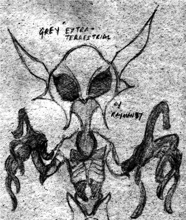 Grey Extraterrestrial