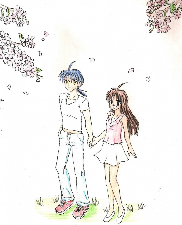 Cherry Blossoms of Spring